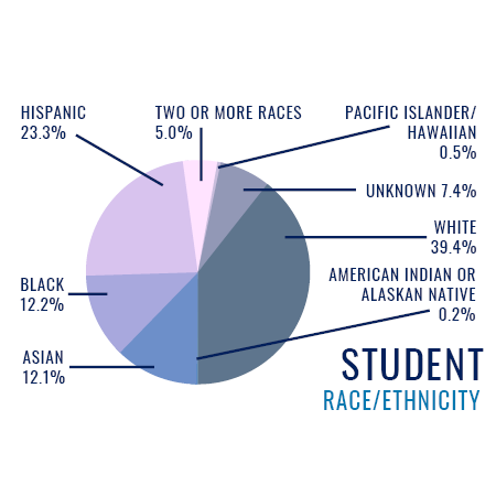 Diversity Graph