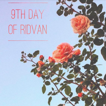 The Ninth Day of Ridvan