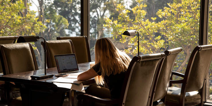 students, Payson library, studying